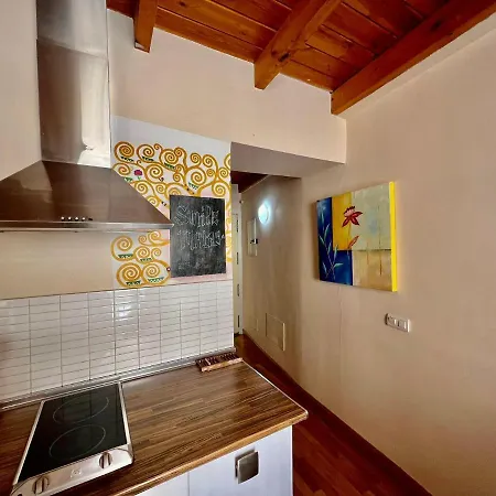 Apartment Luxury Duplex Center Malaga